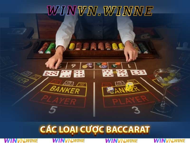 Các Loại Cược Baccarat tại Winvn