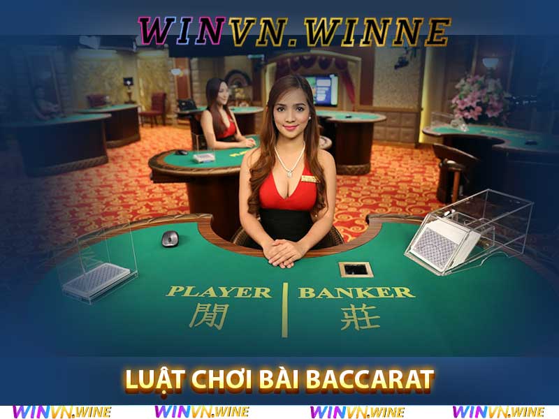 luật chơi bài baccarat tại Winvn casino